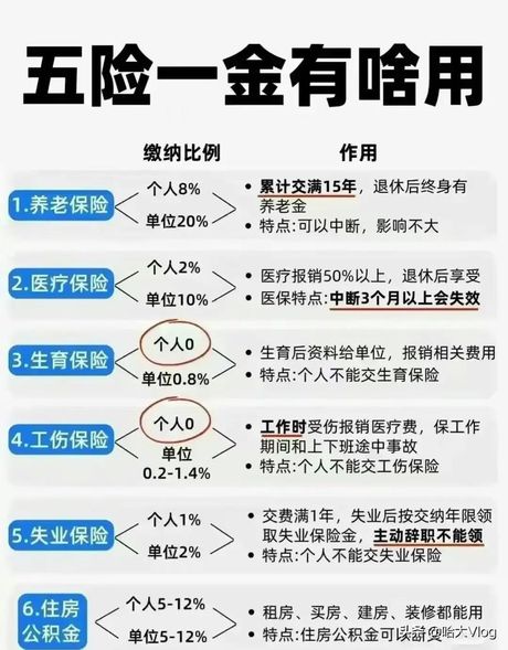 个人社保，个人社保详解，你需要了解的重要信息