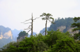 近年来特别受欢迎的旅游景点